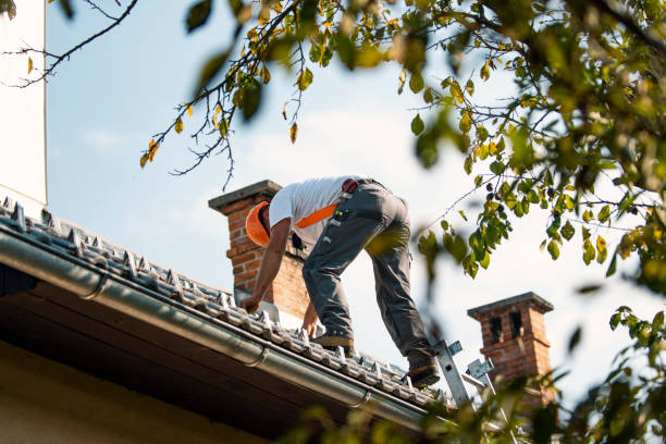 Best Emergency Roof Repair  in Silver Creek, NY