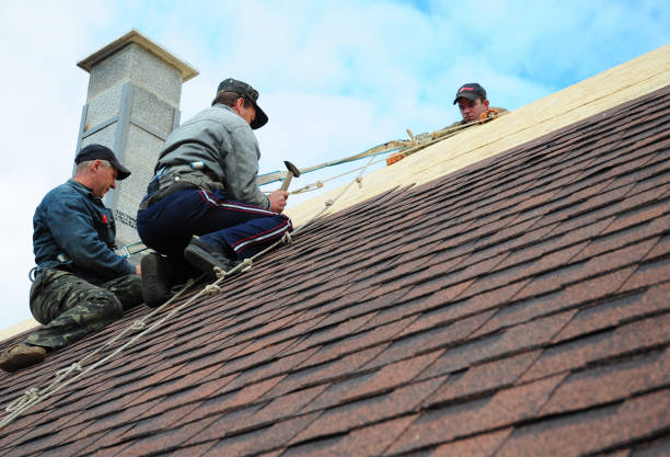 Best Roof Gutter Cleaning  in Silver Creek, NY