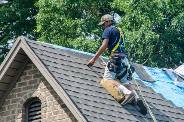 Best Sealant for Roof  in Silver Creek, NY