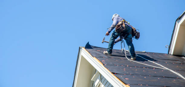 Best Roof Waterproofing Services  in Silver Creek, NY